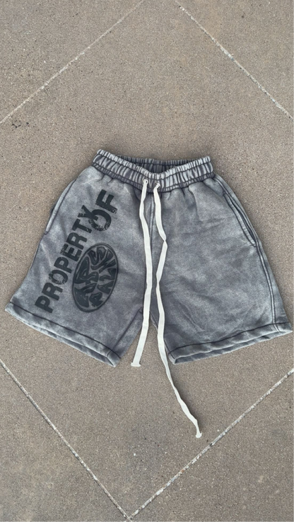 AP ACID WASHED (SHORTS)
